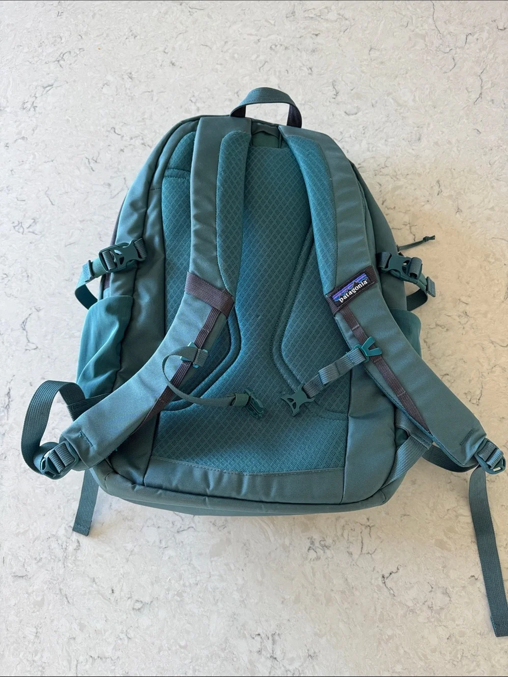 Patagonia sturdy backpack